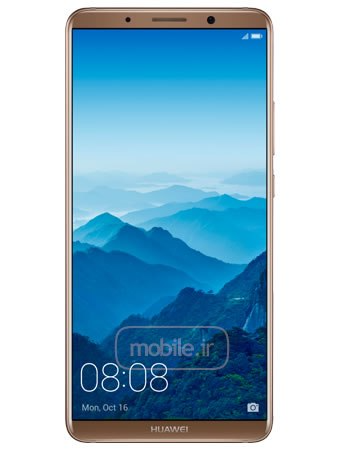 mate 10 pro