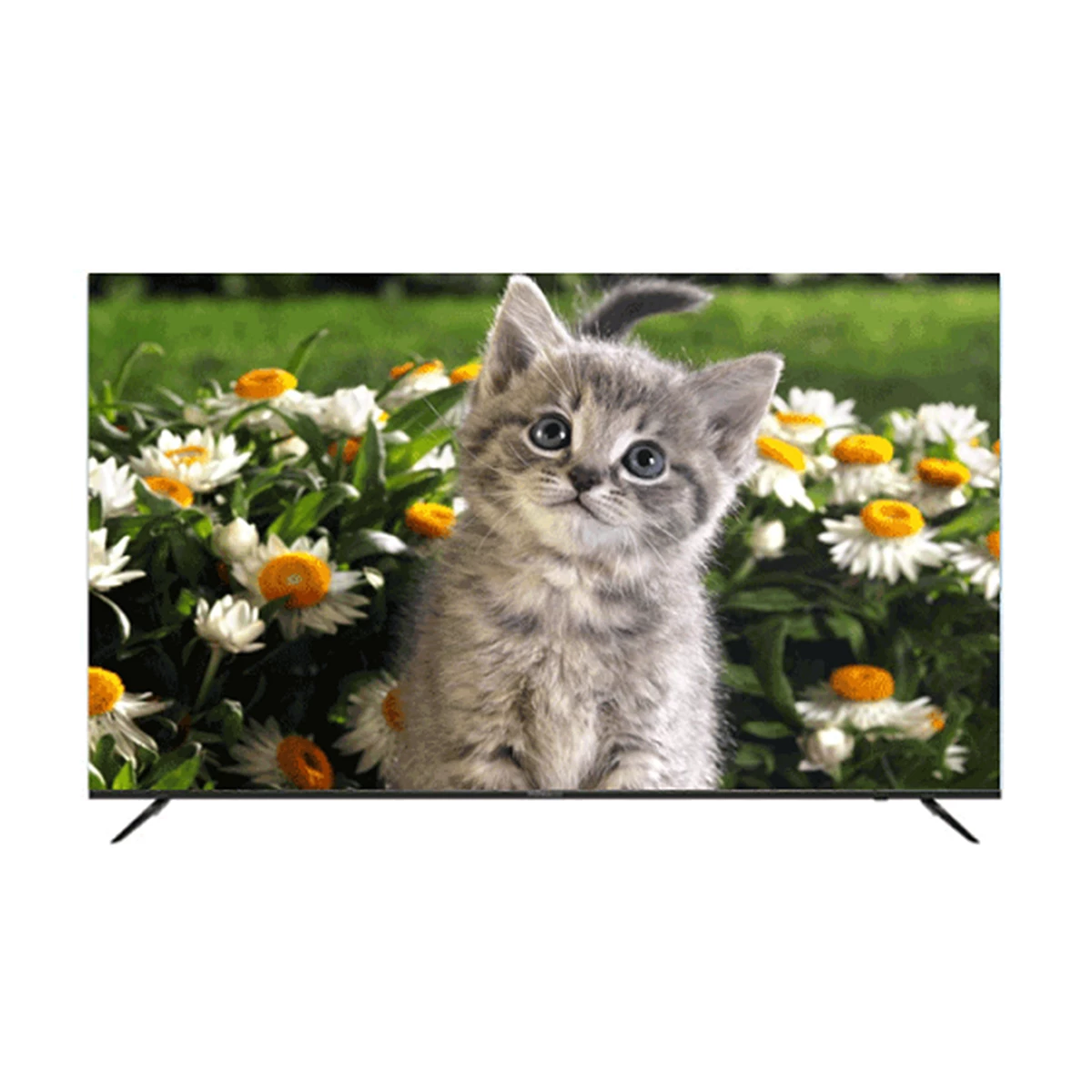 Daewoo DSL-65SU1880 LED TV 65 Inch