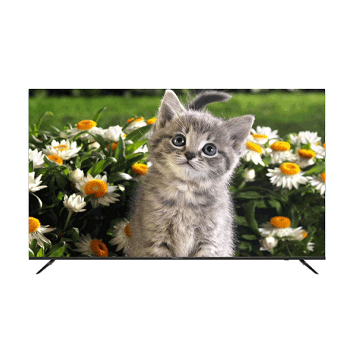 Daewoo DSL-65SU1880 LED TV 65 Inch