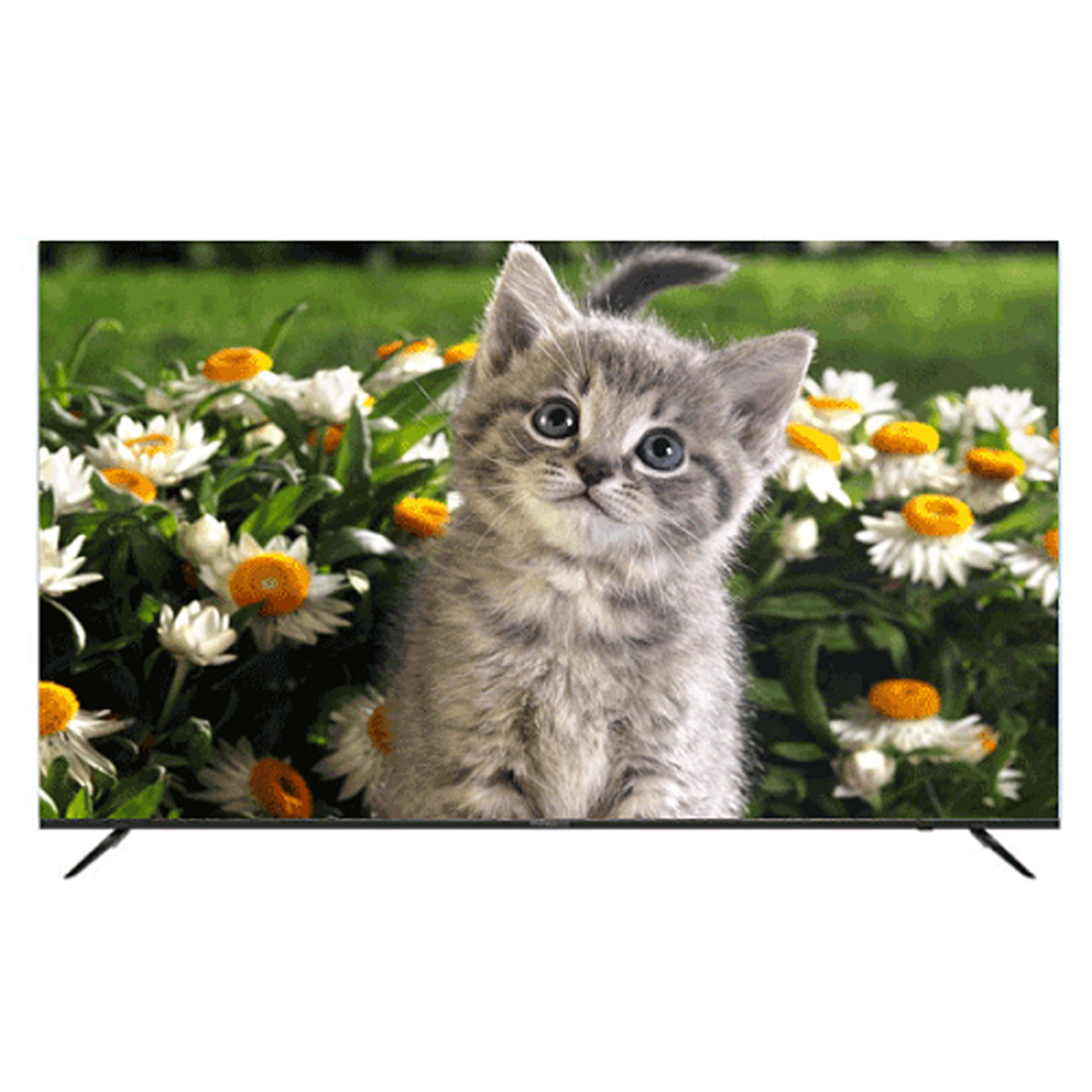 Daewoo DSL-65SU1870 65 inch LED TV